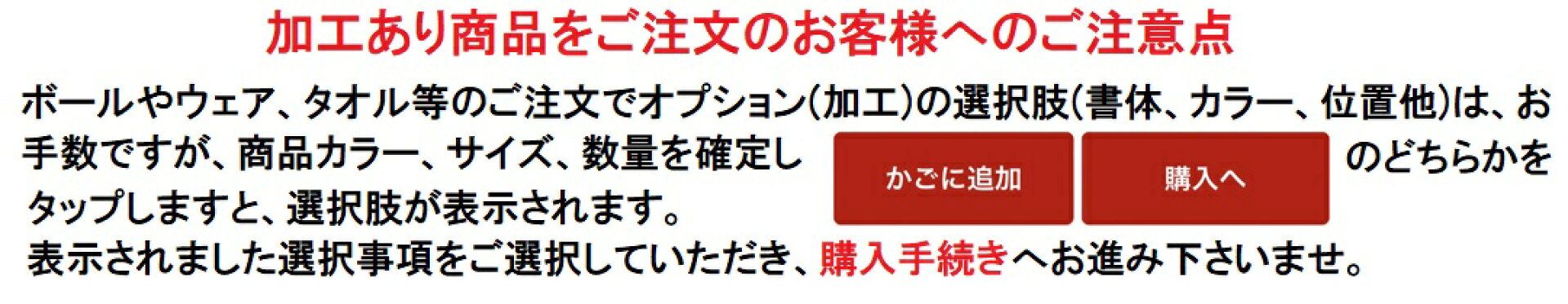 スマホオプション選択肢注意事項