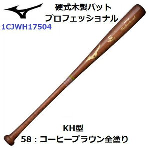 ~Ym (1CJWH17504) 싅 dؐobg vtFbVi Cv KH^(M)
