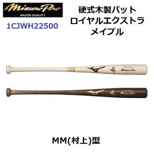 ~Ym (1CJWH22500) 싅 dؐobg ~Ymv CGNXg Cv MM()^(M)