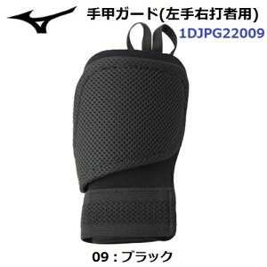 ~Ym (1DJPG22009) 싅 EŎҗp veN^[ bK[h (M)