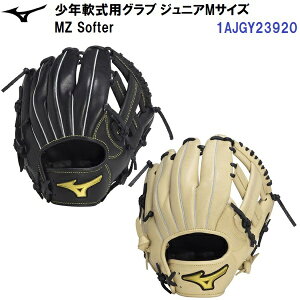 Z[ ~Ym (1AJGY23920) 싅 N  O[u Mz Softe I[Ehp (B)