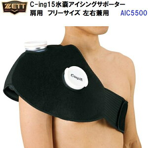 [bg (AIC5500) C-ing15XXACVOT|[^[ xg p t[TCY (M)