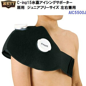 [bg (AIC5500J) C-ing15XXACVOT|[^[ xg p WjAt[TCY (M)