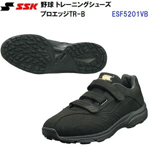 GXGXPC (ESF5201VB) 싅 g[jOV[Y vGbW TR-B (M)