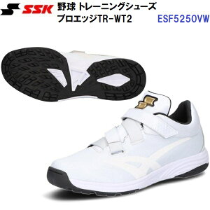 GXGXPC (ESF5250VW) 싅 g[jOV[Y vGbW TR-WT2 (M)