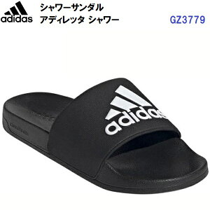 Z[ AfB_X (GZ3779) X|[cT_ AfBb^V[ (B)