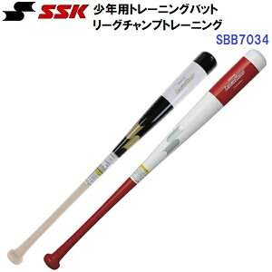 GXGXPC (SBB7034) Np ؐ g[jOobg [O`v TRAINING (M)