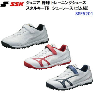 GXGXPC (SSF5201) WjA 싅 g[jOV[Y X^L[ TR (M)