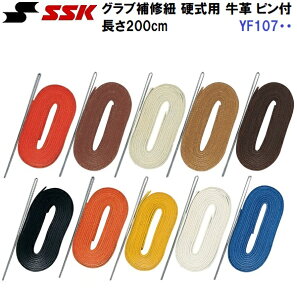 GXGXPC (YF107EE) 싅 Ou CpvЂ dp ʂst (M)