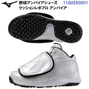 ~Ym (11GU2500) 싅 RpV[Y NbV{v ApCA (M)