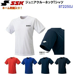 l[hJ GXGXPC (BT2250J) WjA N[lbNTVc  (M)