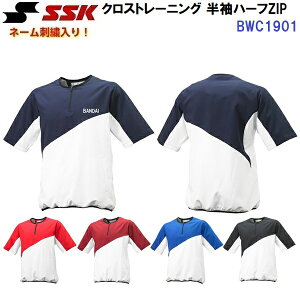 l[hJ GXGXPC (BWC1901) NXg[jO n[tZIP (M)