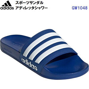 Z[ AfB_X (GW1048) X|[cT_ AfBb^V[ (B)