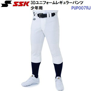 GXGXPC (PUP007RJ) WjA 3DjtH[M[pc (M)