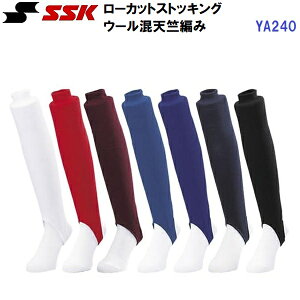 GXGXPC (YA240) 싅 [Jbg XgbLO E[V҂ ʗp (M)