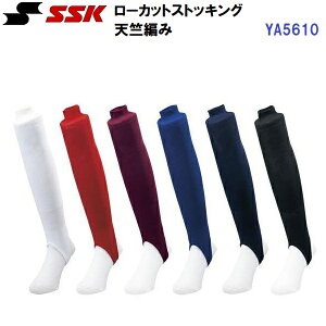 GXGXPC (YA5610) 싅 [Jbg XgbLO T|[g@\t V҂ ʗp (M)