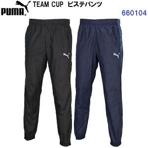 ԕis v[} (660104) TEAM CUP sXe pc (M)