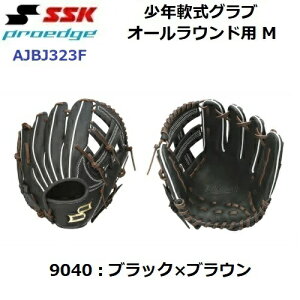 Z[ GXGXPC (AJBJ323F) 싅 NOu vGbW I[Ehp MTCY ubN (B)