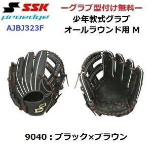 ^t Z[ SSK GXGXPC vGbW (AJBJ323F) 싅 NOu I[Ehp MTCY ubN (B)