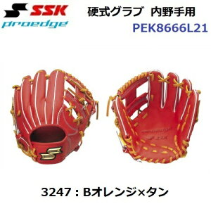 Z[ GXGXPC (PEK8666L21) 싅 dOu vGbW p (B)