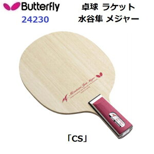 ԕis 싅Pbg o^tC (24230) CS y J W[ (M)