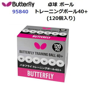ԕis o^tC (95840) g[jO{[40+ TRAINING BALL 40+ 120 (M)