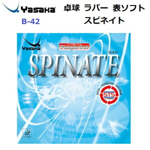 ԕis TJ (B-42) eVn\\tgo[ XslCg (M)