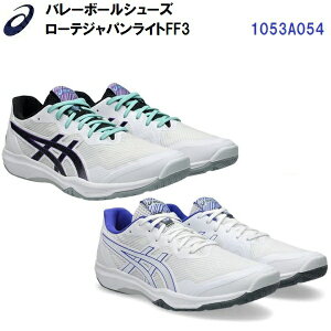 �l�C �A�V�b�N�X (1053A054) �o���[�{�[���V���[�Y ���[�e�W���p�����C�gFF3 (B)