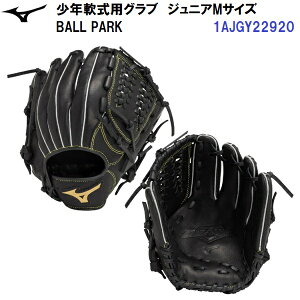 Z[ ~Ym (1AJGY22920) 싅 N  O[u {[p[N BALL PARK I[Ehp (B)