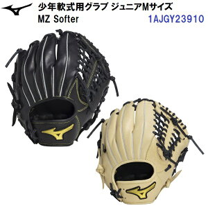 Z[ ~Ym (1AJGY23910) 싅 N  O[u Mz Softe I[Ehp (B)