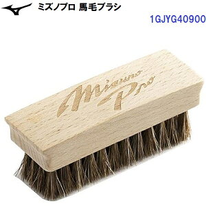 Z[ ~Ym (1GJYG40900) 싅 OuPApi ~Ymv nуuV (B)