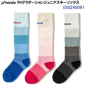 Z[ tFjbNX (ESG24SO91) PHOf[VWjAXL[\bNX (B)