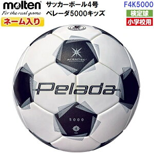 l[ e (F4K5000) TbJ[{[ 4 y[_4000LbY 苅 AZeBbN (M)