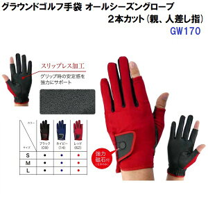 lC OVA (GW170) OEhSt I[V[YO[u(2{؂) (B)