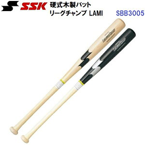 GXGXPC (SBB3005) 싅 dؐobg [O`v LAMI (M)