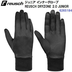 人気 25-26 ロイシュ (6265184) ジュニア用 スキーインナーグローブ ドライゾーン2.0ジュニア DRYZONE 2.0 JUNIOR (B)