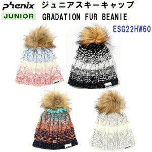 Z[ tFjbNX (ESG22HW60) Of[Vt@[r[j[ GRADATION FUR BEANIE (B)