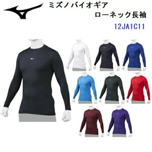 Z[ ~Ym (12JA1C11) 싅 oCIMA [lbN  A_[Vc w싅Ή (B)