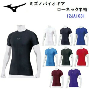 Z[ ~Ym (12JA1C31) 싅 oCIMA [lbN  A_[Vc w싅Ή (B)