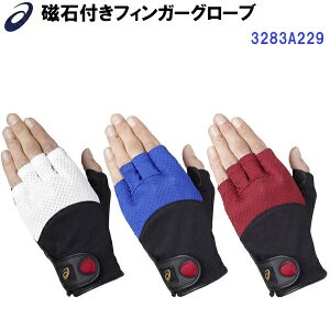 Z[ AVbNX (3283A229) OEhSt ΕttBK[O[u (B)