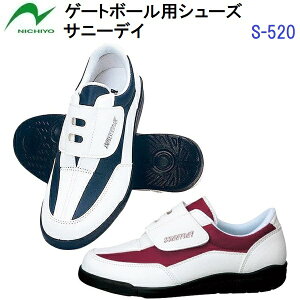 [ j`[ (S-520) Q[g{[pV[Y Tj[fC (B)