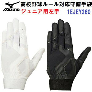 lC ~Ym (1EJEY260) 싅 Np p Ўp Z싅[Ήf (B)