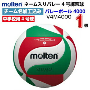 ԕis l[ e (V4M4000) o[{[4 o[{[4000 (M)