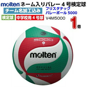 l[ e (V4M5000) o[{[4 tX^ebNo[{[5000 (M)