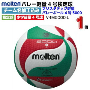 l[ e (V4M5000L) o[{[4 tX^ebNyʃo[{[5000 (M)