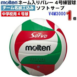 ԕis l[ e (V4M3000) o[{[4 \tgT[u (M)