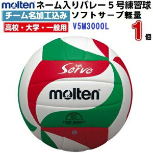 l[ e (V5M3000L) o[{[ 5 \tgT[uy (M)