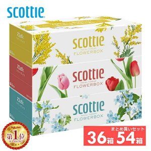 LO1ʊl150geBbV60 XRbeB eBbV 250g×36 t[{bNX 3Ŗ5 e {bNXeBbV eBbVy[p[ {NVA 36(3×