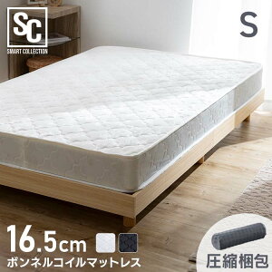 }bgX VO  d  {lRC 16.5cm SBCMT-S zc@Q ʋC k k[ xRC XvO ϋv l炵 V