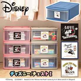 スカート そっと 墓 ディズニー 収納 Box 舗装する 欲望 放棄